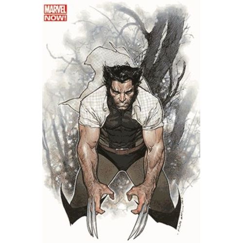 Wolverine 2013 001 Vc