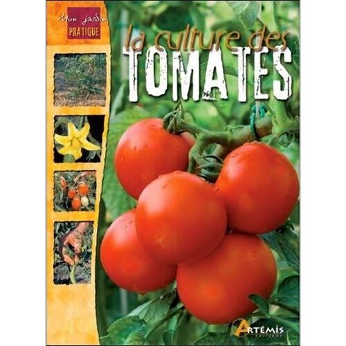 La Culture Des Tomates
