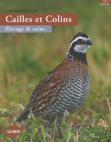 Cailles Et Colins - Elevage Et Soins
