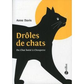 Drôles De Chats