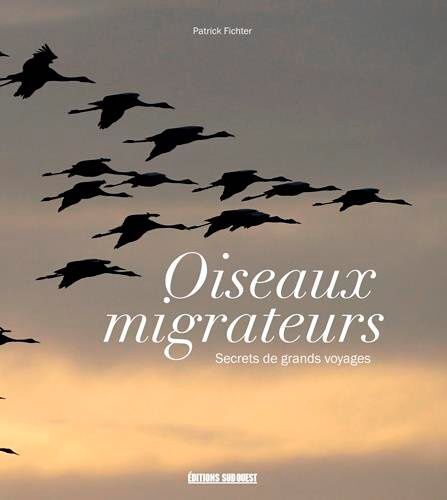Oiseaux Migrateurs - Secrets De Grands Voyages