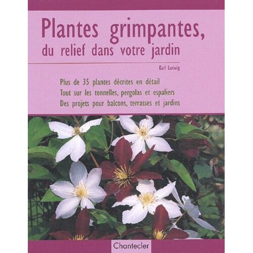 Plantes Grimpantes, Du Relief Dans Votre Jardin