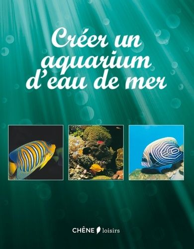 Créer Son Aquarium D'eau De Mer