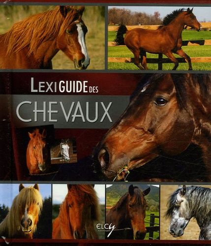 Lexiguide Des Chevaux