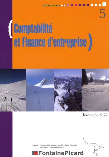 Comptabilite Et Finance D'entreprise Tle Stg