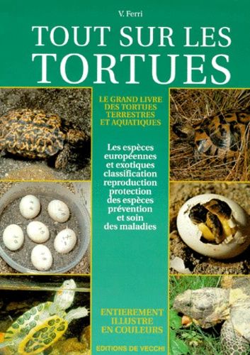 Tout Sur Les Tortues