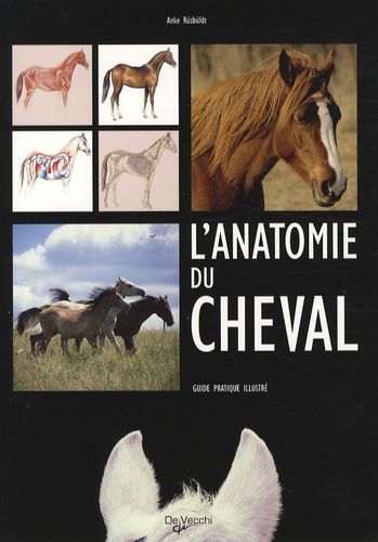 L'anatomie Du Cheval - Guide Pratique Illustré