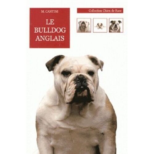 Le Bulldog Anglais