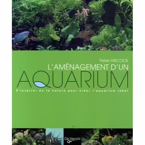 L'aménagement D'un Aquarium - S'inspirer De La Nature Pour Créer L'aquarium Idéal