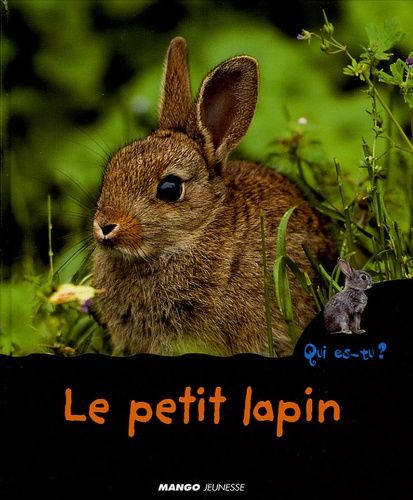 Le Petit Lapin