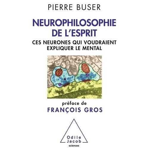 Neurophilosophie De L'esprit - Ces Neurones Qui Voudraient Expliquer Le Mental