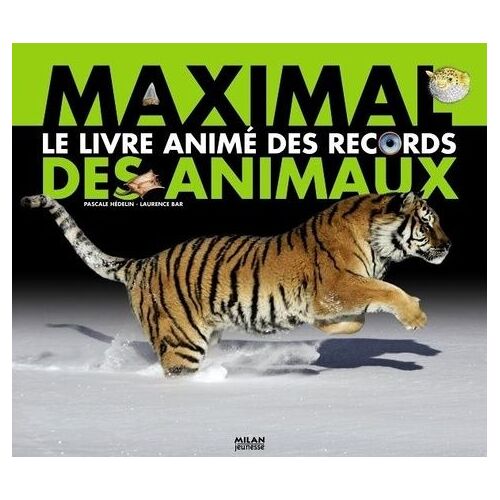 Maximal - Le Livre Animé Des Records Des Animaux