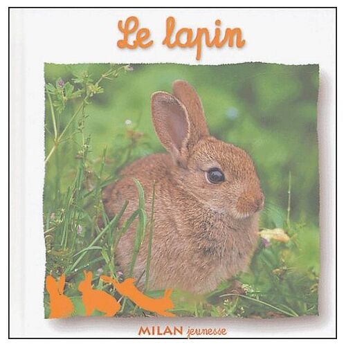 Le Lapin