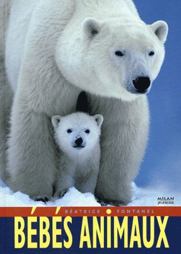 Bébés Animaux