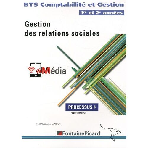 Gestion Des Relations Sociales Processus 4 Bts Comptabilité Et Gestion 1re Et 2e Années - Applications Pgi