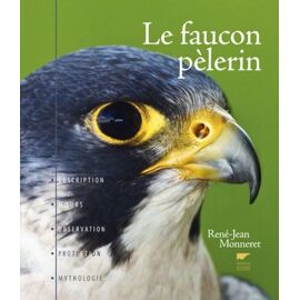Le Faucon Pèlerin