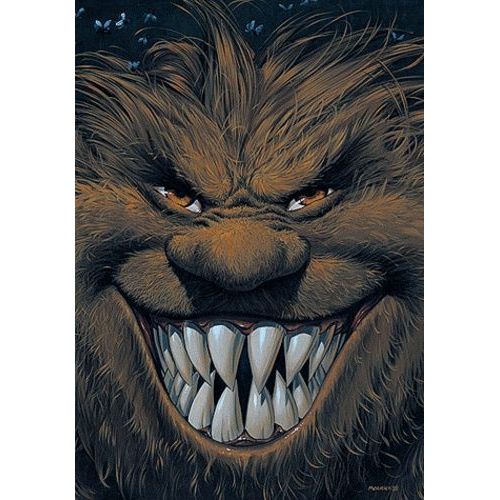 Trolls De Troy - Coffret En 4 Volumes - Tome 1, Histoires Trolles - Tome 2, Le Scalp Du Vénérable - Tome 3, Comme Un Vol De Pétaures - Tome 4, Le Feu Occulte