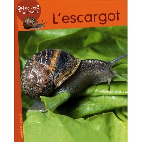 L'escargot