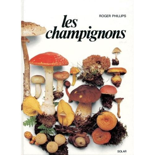 Les Champignons