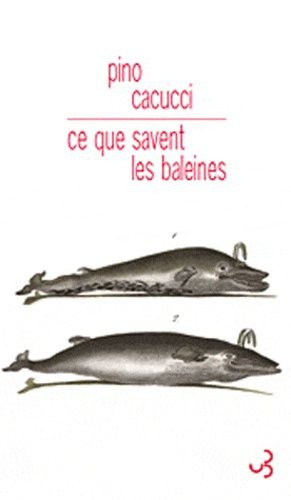 Ce Que Savent Les Baleines
