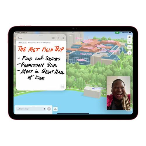 Tablette Apple iPad 10 (2022) Wi-Fi + Cellular 256 Go Rose