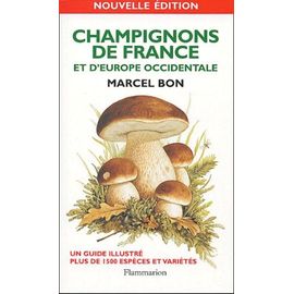 Champignons De France Et D'europe Occidentale