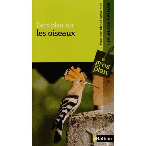 Les Oiseaux