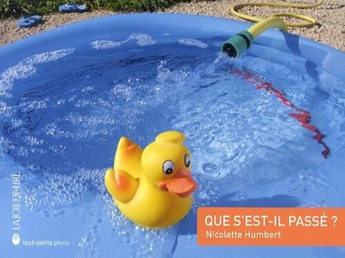 Que S'est-Il Passé ?