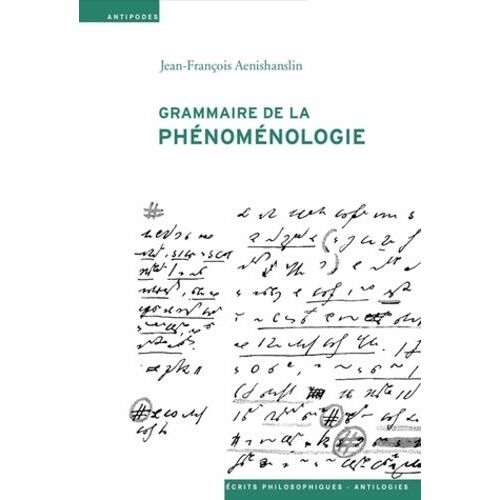 Grammaire De La Phénoménologie
