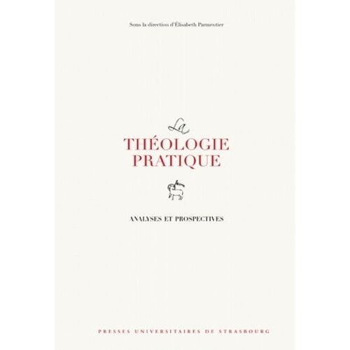 La Théologie Pratique - Analyses Et Prospectives