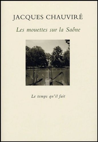 Les Mouettes Sur La Saône