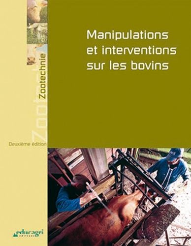 Manipulations Et Interventions Sur Les Bovins