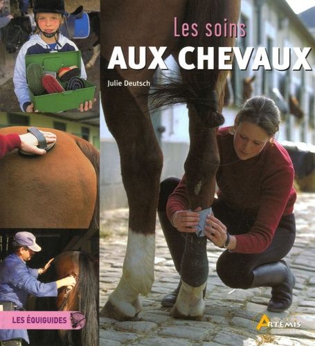 Les Soins Aux Chevaux