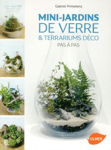 Mini-Jardins De Verre & Terrariums Déco - Pas À Pas