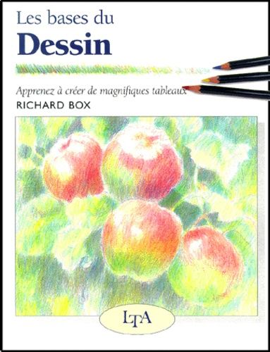 Les Bases Du Dessin