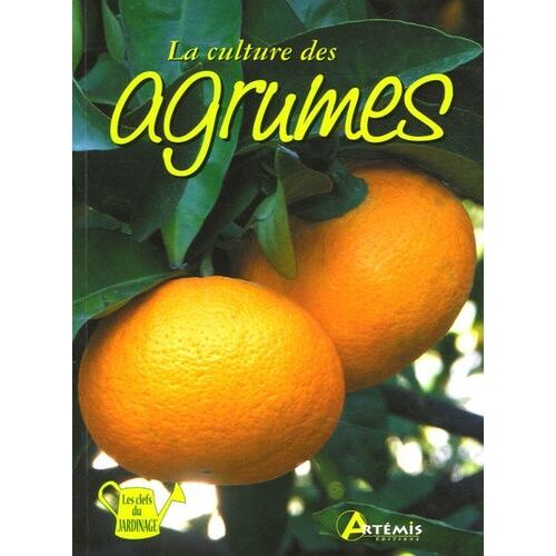 La Culture Des Agrumes