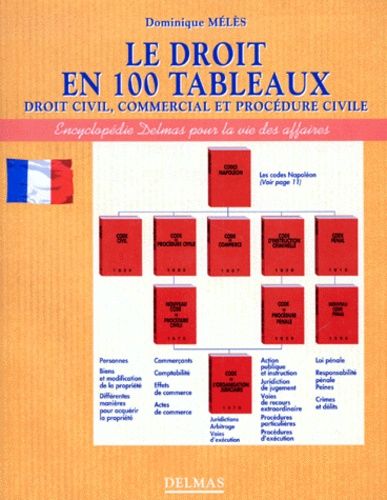Le Droit En 100 Tableaux : Droit Civil, Commercial Et Procédure Civile
