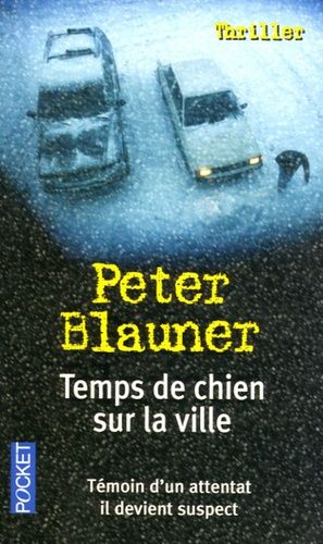 Temps De Chien Sur La Ville