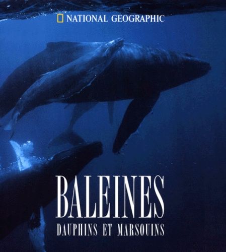 Baleines, Dauphins Et Marsouins