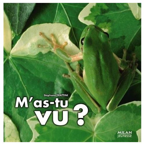 M'as-Tu Vu ?