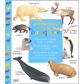 Animaux De La Banquise