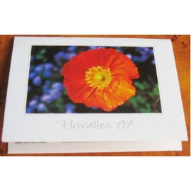 Calendrier De Poche Floralies 97 Avec Une Belle Image De Fleur (Pavot) - Année 1997 - Mention Publicitaire Au Dos D'une Entreprise Des Yvelines - 10x15 Cm Ouvert