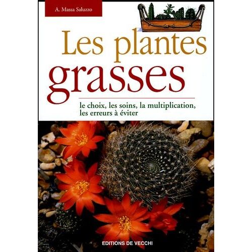 Les Plantes Grasses