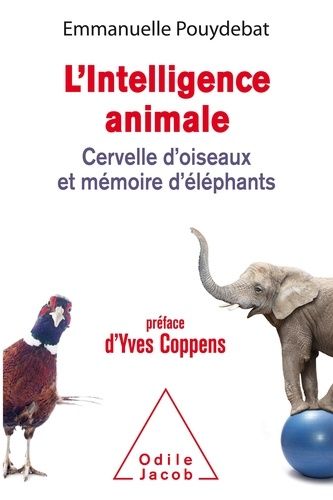 L'intelligence Animale - Cervelle D'oiseaux Et Mémoire D'éléphants