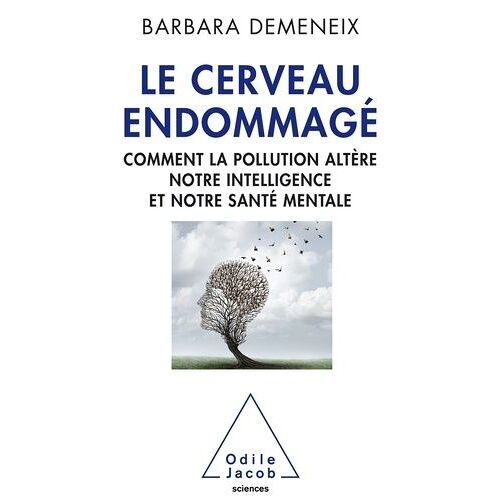 Le Cerveau Endommagé - Comment La Pollution Altère Notre Intelligence Et Notre Santé Mentale