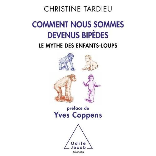 Comment Nous Sommes Devenus Bipèdes - Le Mythe Des Enfants Loups