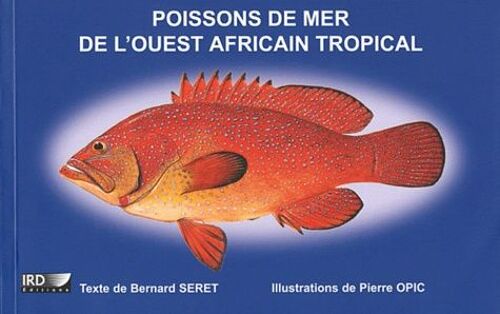 Poissons De Mer De L'ouest Africain Tropical