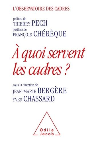 A Quoi Servent Les Cadres ?