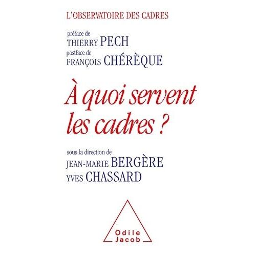A Quoi Servent Les Cadres ?
