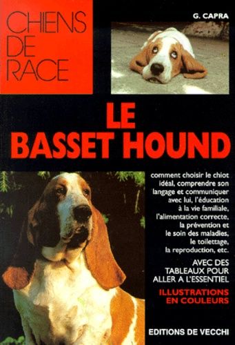 Le Basset Hound